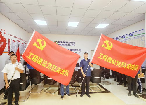 國(guó)家電投北京新能源與北京宏信組建海南工程建設(shè)聯(lián)合黨支部，共筑清潔能源新篇章