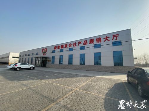 從田頭到市場(chǎng) 博興龐家鎮(zhèn)合作社聯(lián)合社的創(chuàng)新實(shí)踐